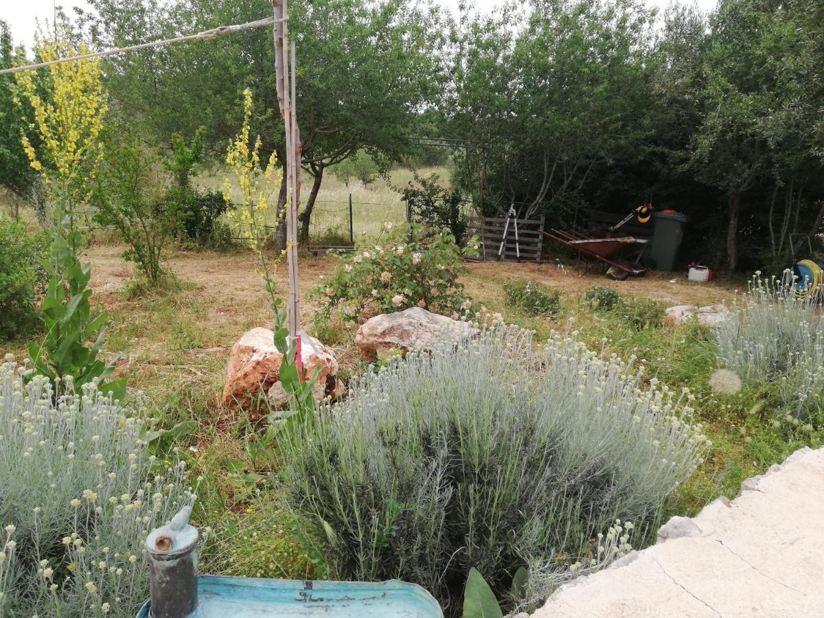 B&B Giovannarolla Green House Остуни Екстериор снимка